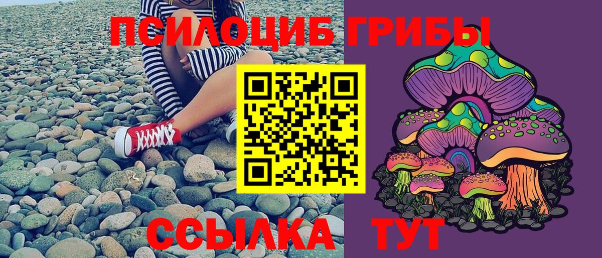 Галлюциногенные грибы Magic Shrooms  Псилоцибиновые грибы Cubensis  Вход с VPN  Строитель 